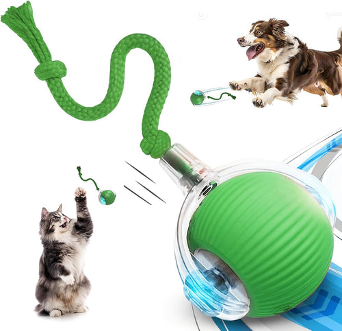 Feliroll Smart Chase Ball (shorter, punchier)