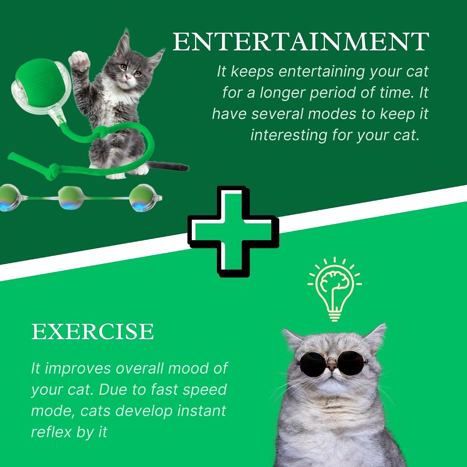 Feliroll Smart Chase Ball (shorter, punchier)