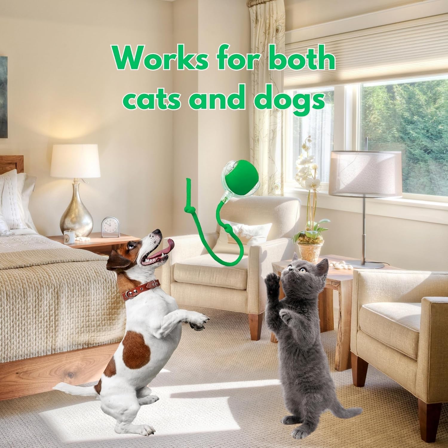 Feliroll Smart Chase Ball (shorter, punchier)